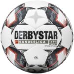 Derbystar Brillant APS 2018