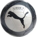 Puma Ligue 1 09/10
