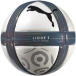 Puma Ligue 1 10-11